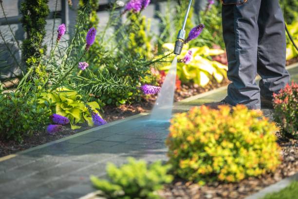 Best Driveway Cleaning and Restoration in Grandview, TX